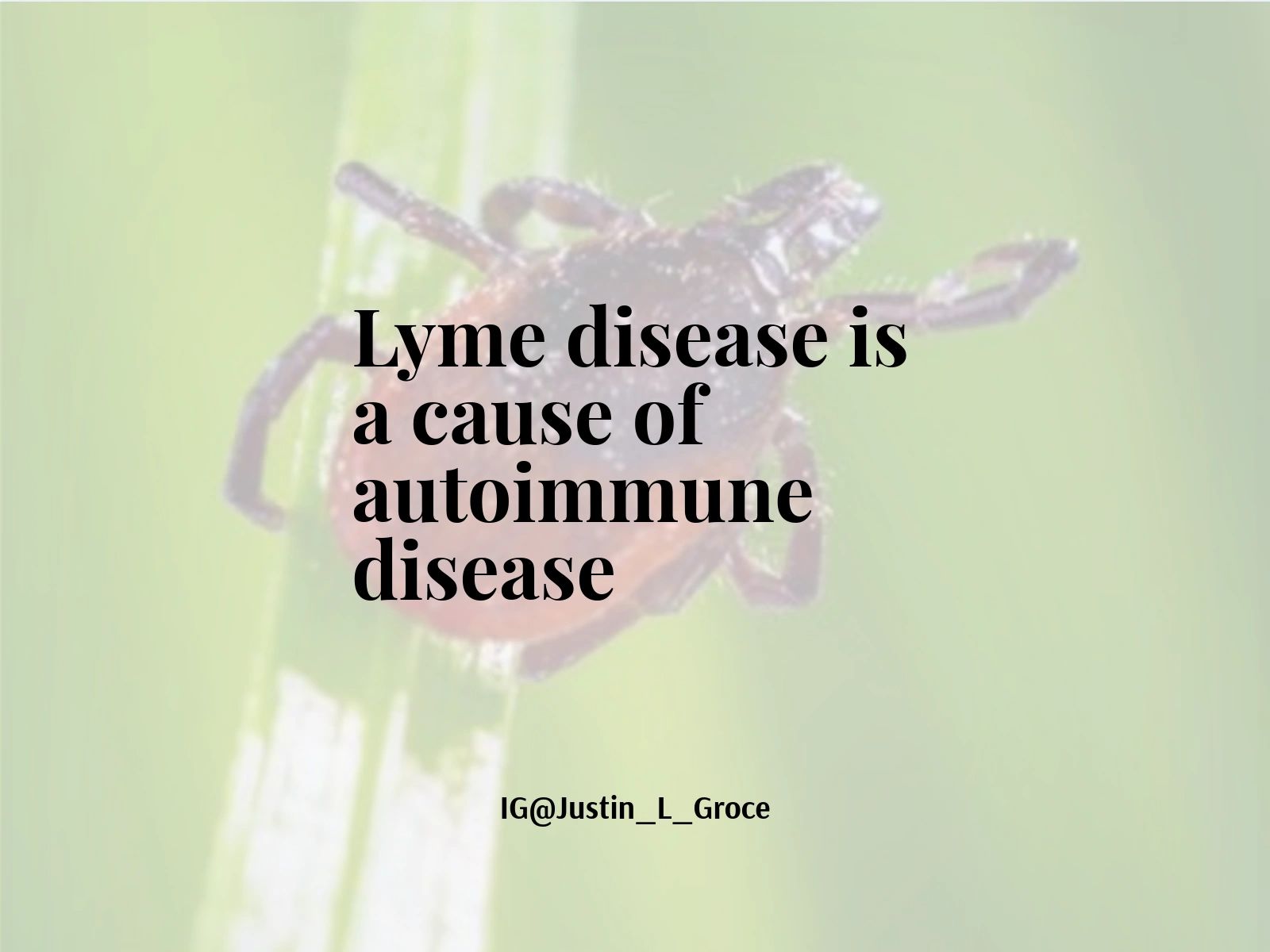 Lyme disease as a cause of autoimmune disease